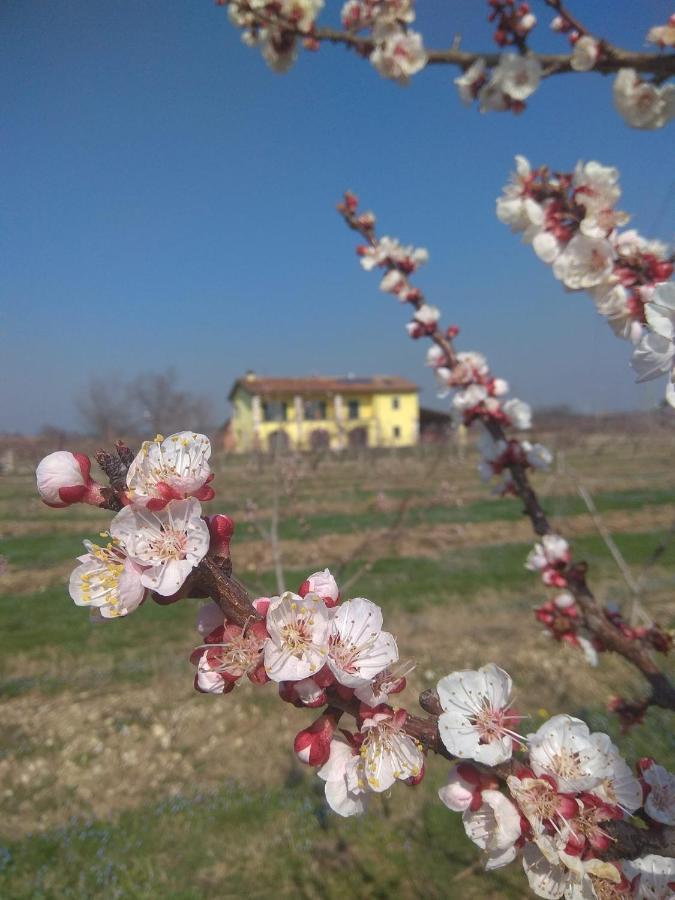 Appartamento La Crosona Colà Esterno foto